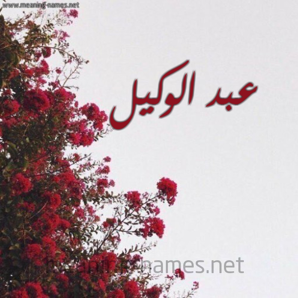شكل 18 صوره الورد الأحمر للإسم بخط رقعة صورة اسم عبد الوكيل ABD-ALOKIL